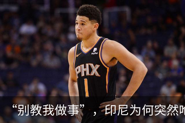 “别教我做事”，印尼为何突然呛声新加坡？